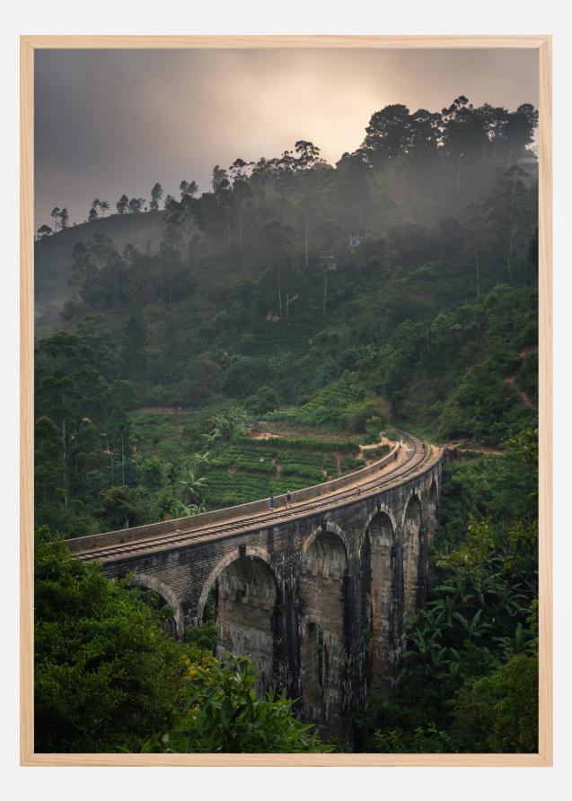 Jungle train rails Plakat