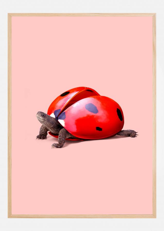 Ladybug Turtle Plakat