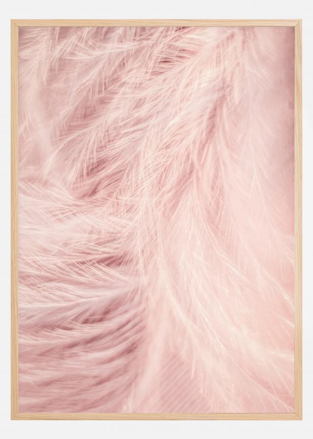 Pink Feathers Plakat