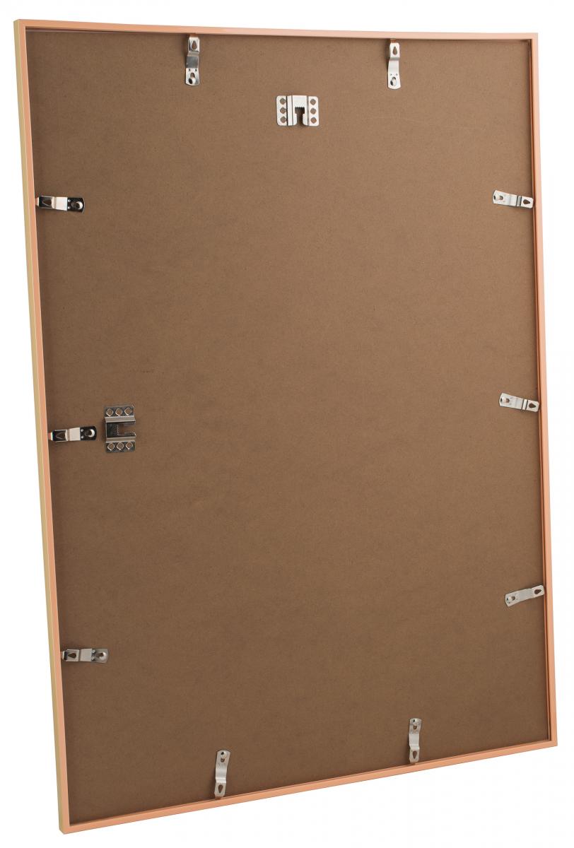 Ramme New Lifestyle Guld 50x70 cm