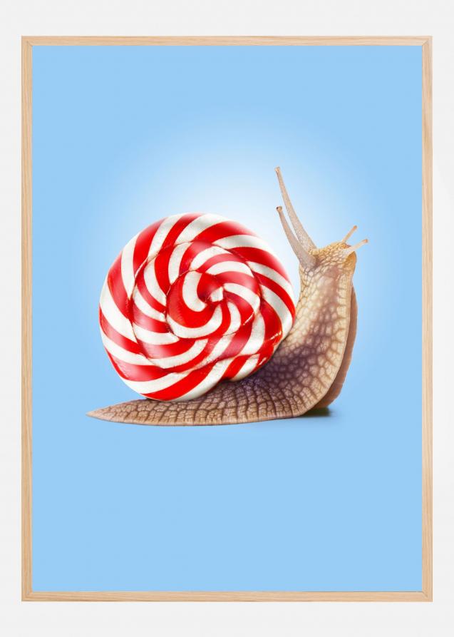 Snail Candy Plakat