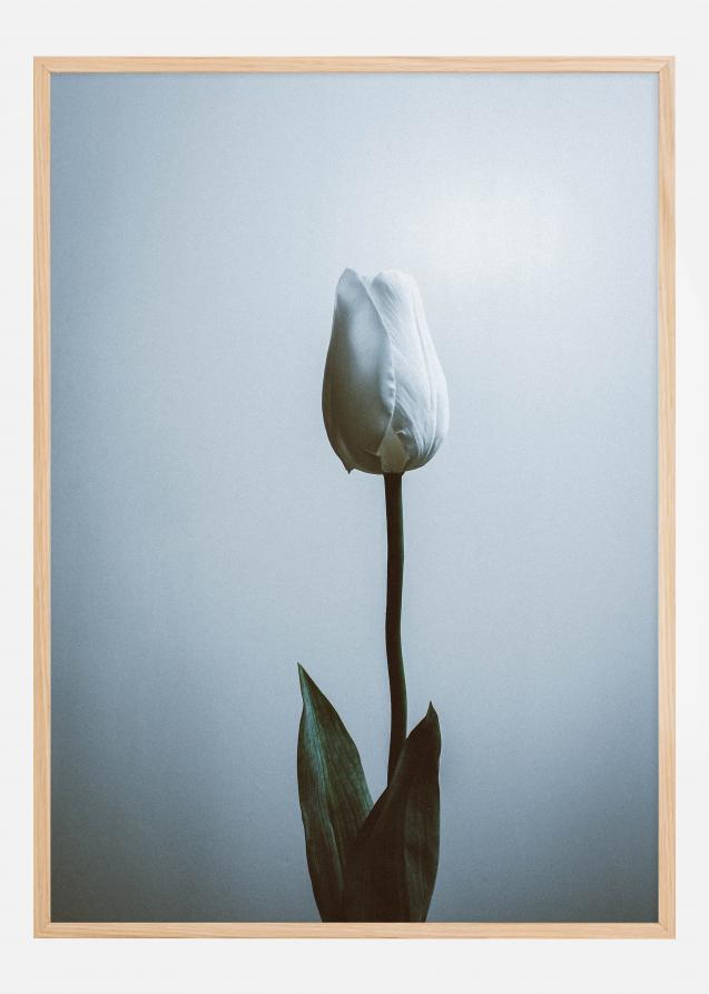 Lonely White Rose Plakat