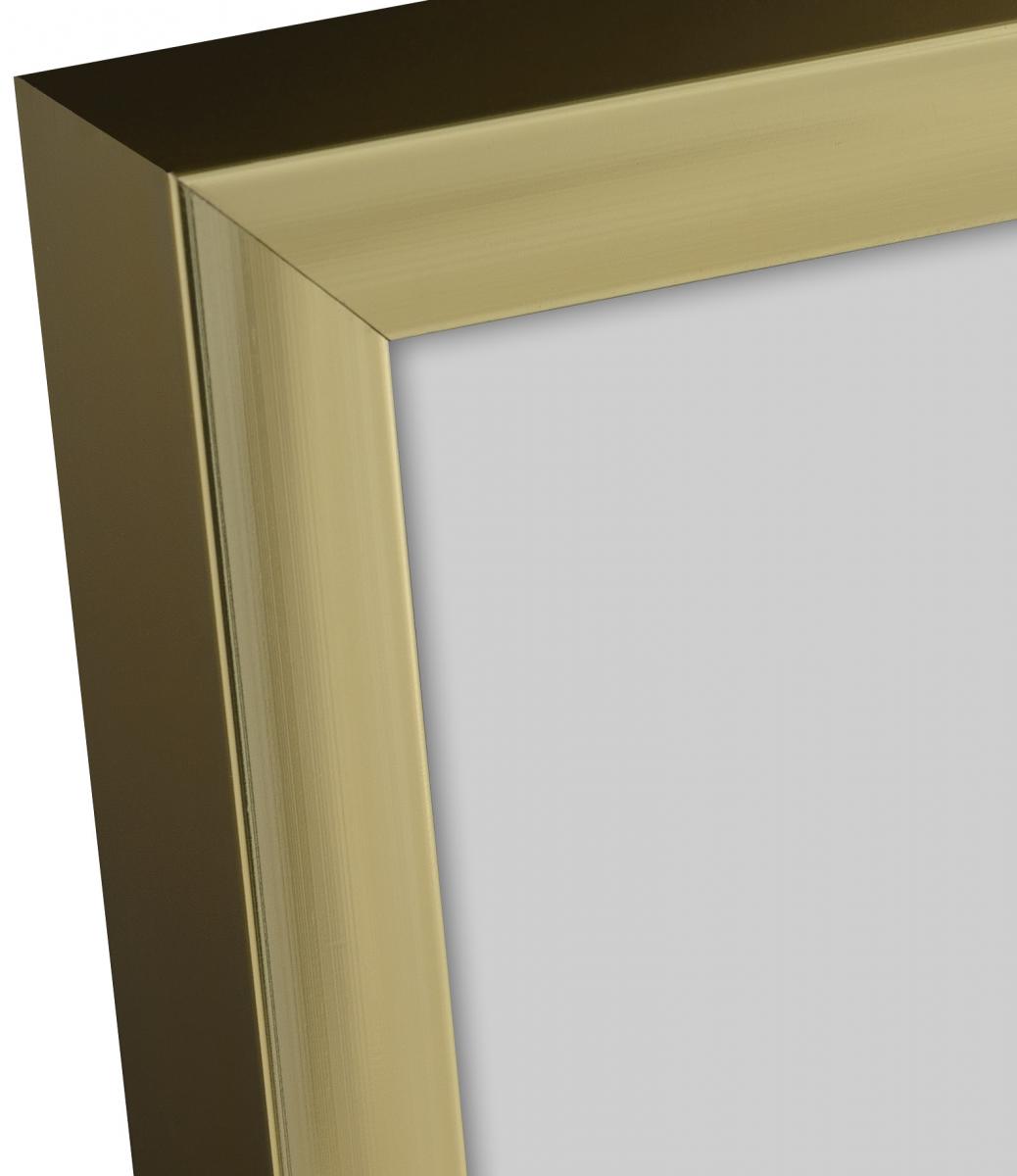 Ramme Aluminum Akrylglass Gold 70x100 cm