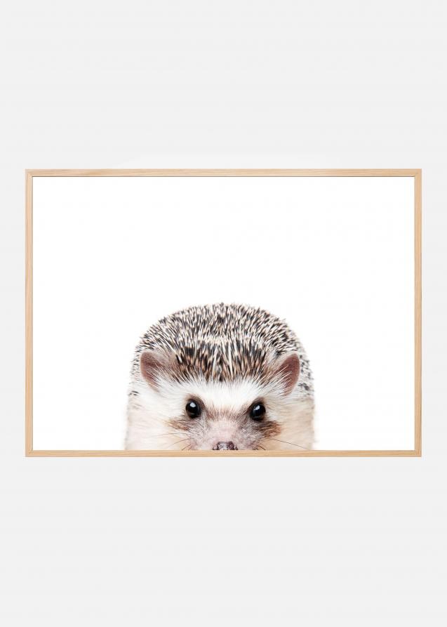 Peeking Hedgehog Plakat