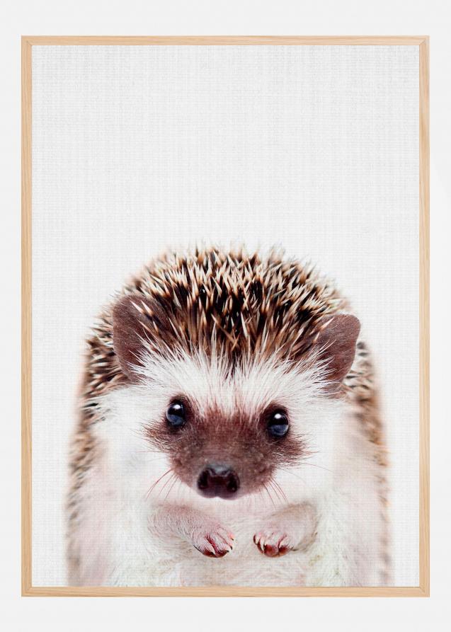 Peekaboo Hedgehog Plakat