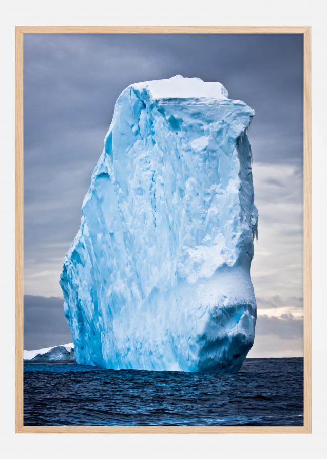 Iceberg Plakat