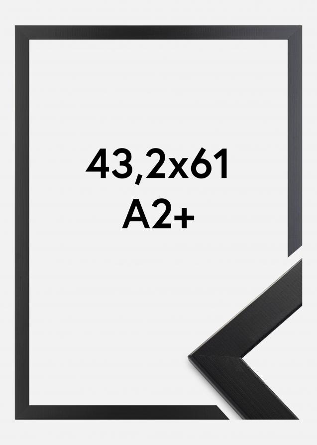 Ramme Trendline Akrylglas Sort 43,2x61 cm (A2+)