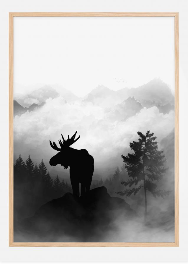 MOOSE Plakat