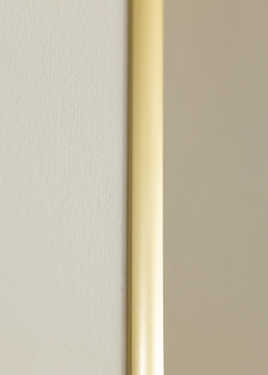 Ramme New Lifestyle Akrylglas Guld 21x29,7 cm (A4)