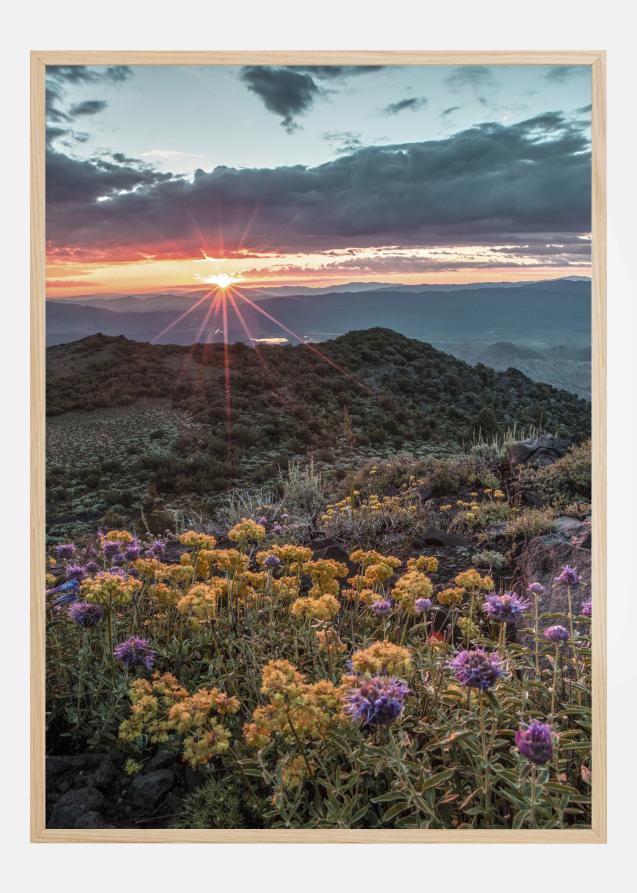 Beautiful Sunset Plakat