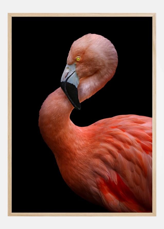 Flamingo at night Plakat