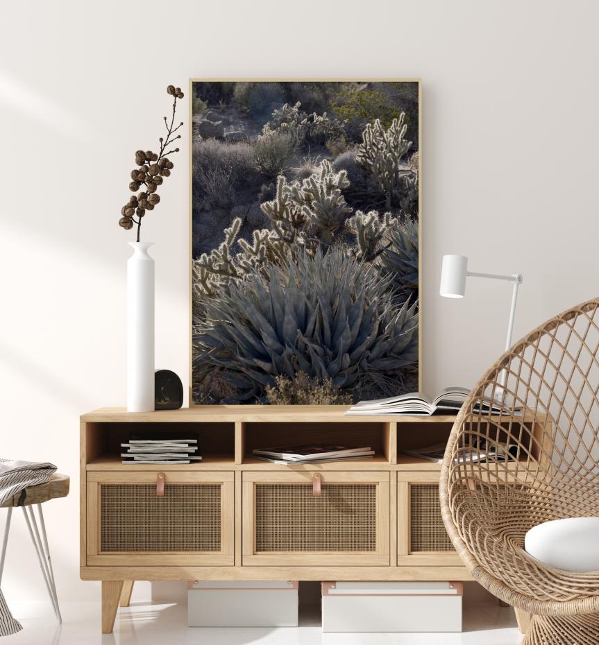 Cactus In Desert Plakat