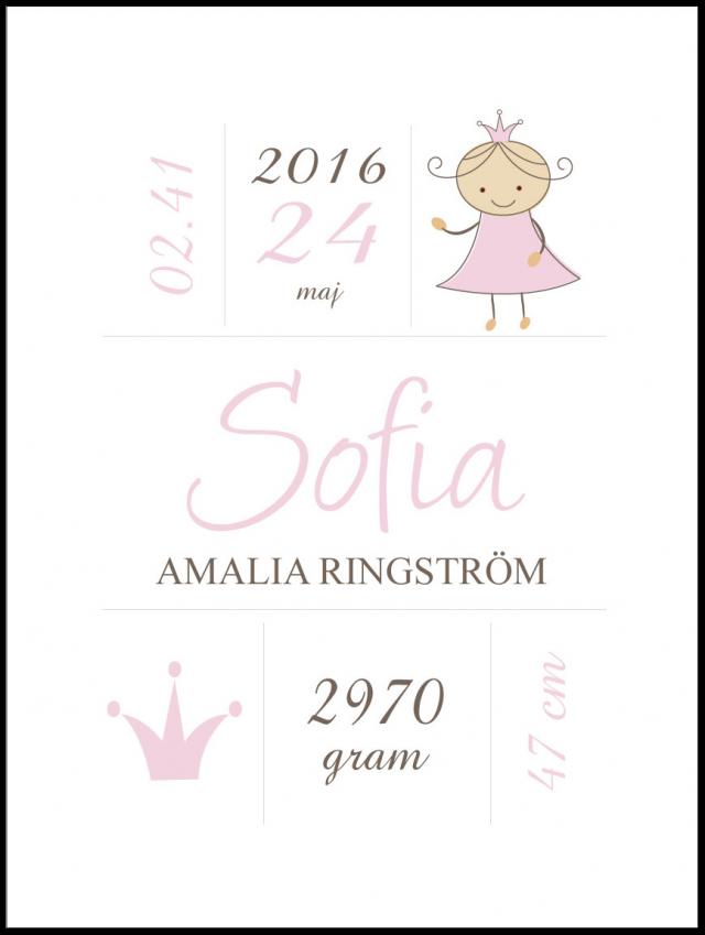 Princess Birth Poster Pink