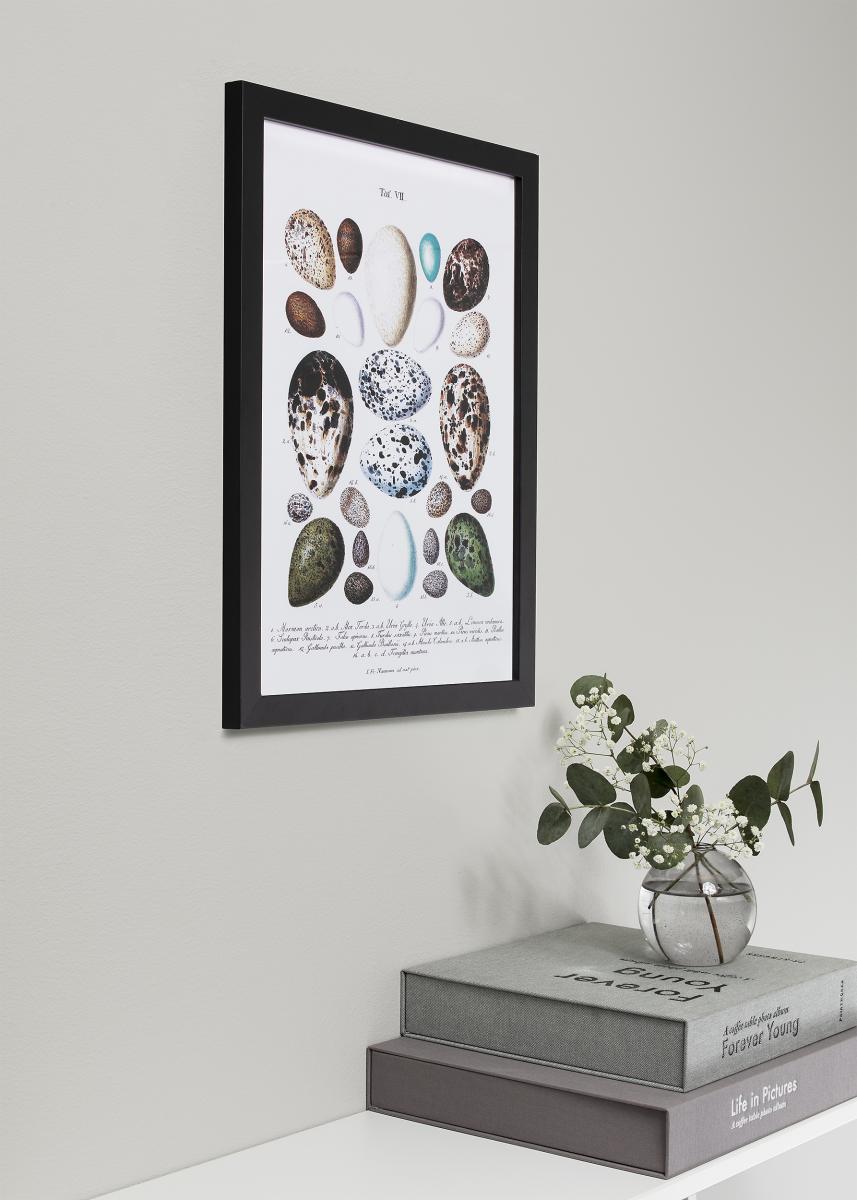 Ramme Black Wood Akrylglas 70x100 cm