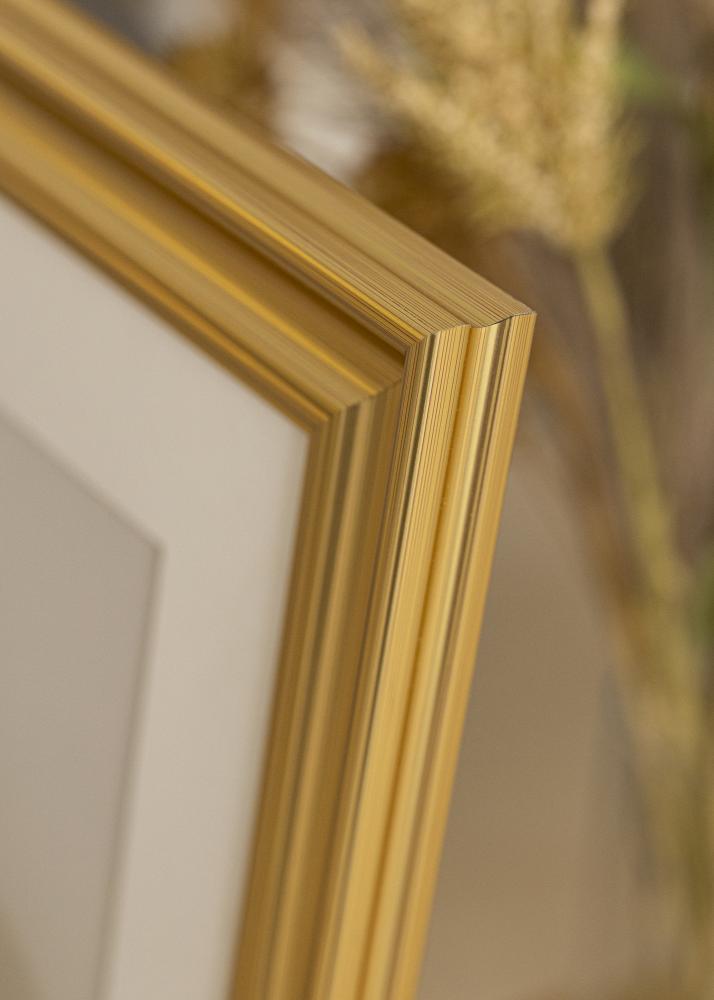 Ramme Charleston Akrylglas Guld 70x100 cm