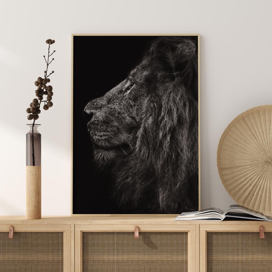 Lion In Profile Plakat