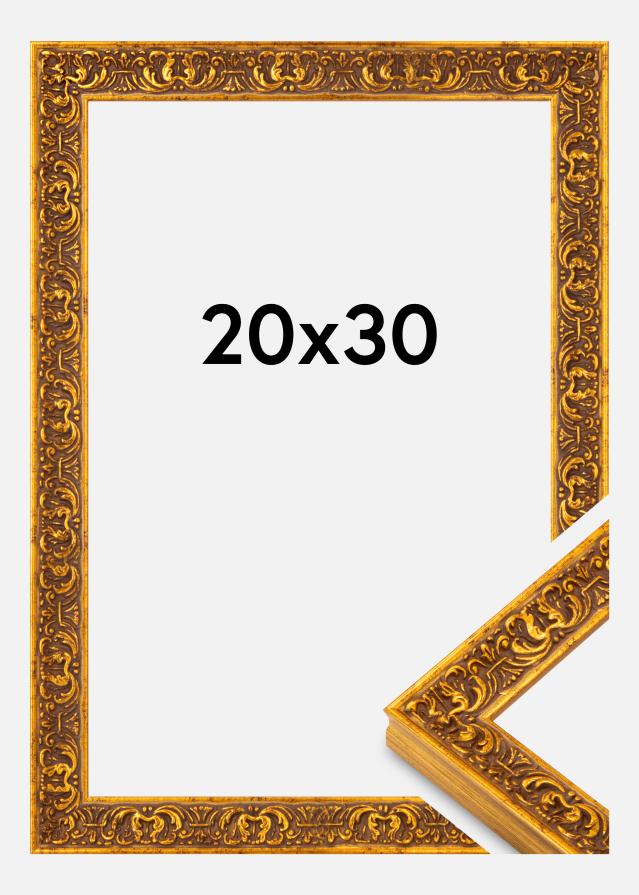 Ramme Amber Akrylglas Guld 20x30 cm