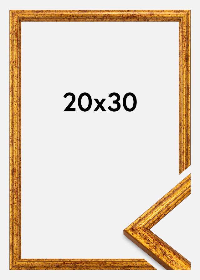 Ramme Claudia Akrylglas Guld 20x30 cm