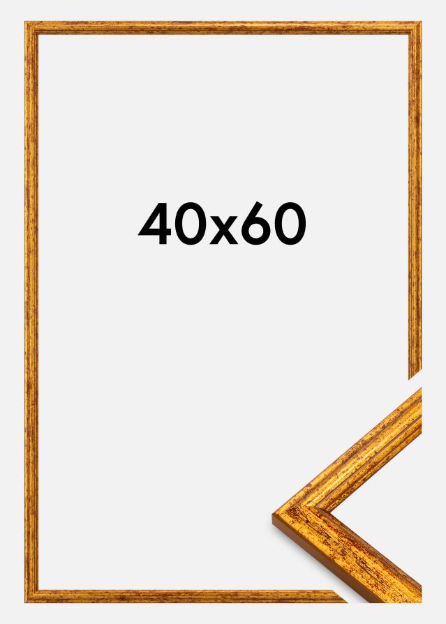 Ramme Claudia Akrylglas Guld 40x60 cm