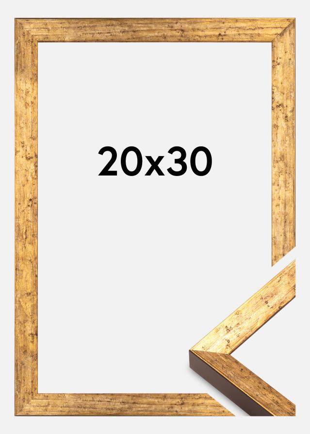 Ramme Dune Akrylglas Guld 20x30 cm