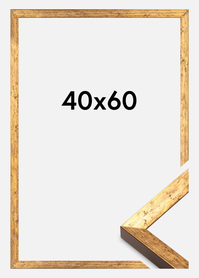 Ramme Dune Akrylglas Guld 40x60 cm