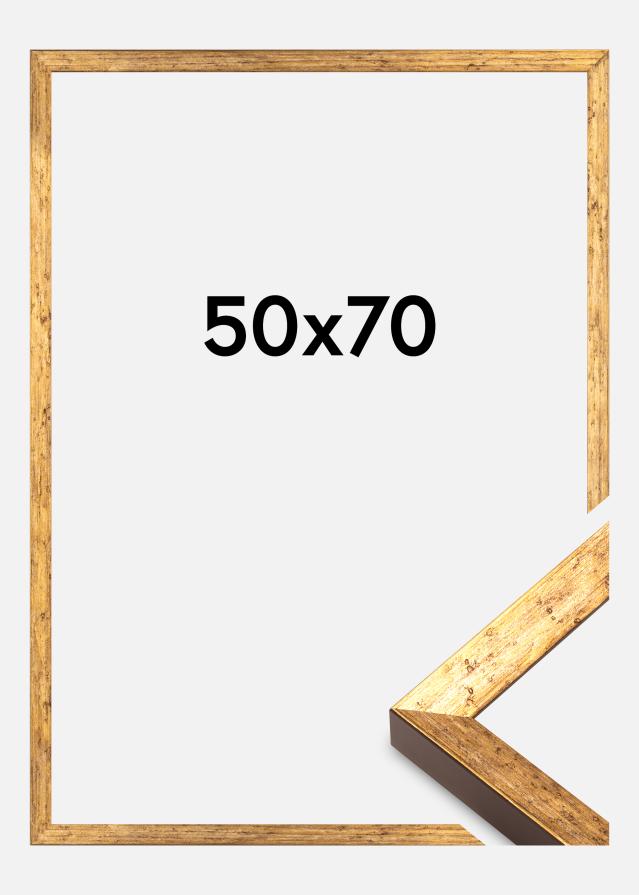 Ramme Dune Akrylglas Guld 50x70 cm