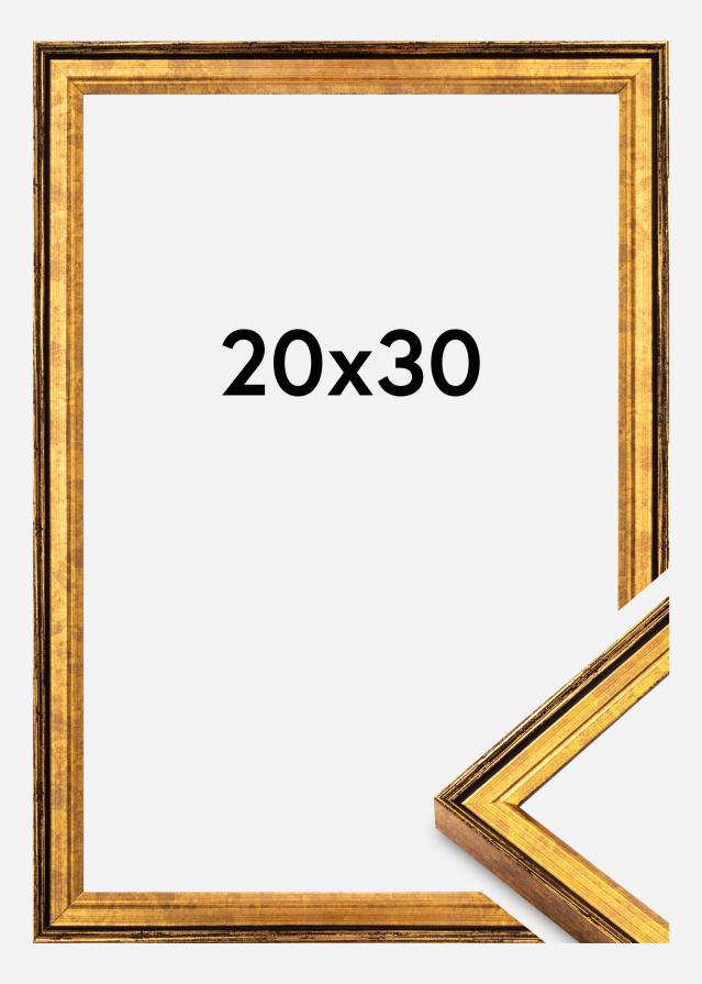 Ramme Ringa Akrylglas Guld 20x30 cm