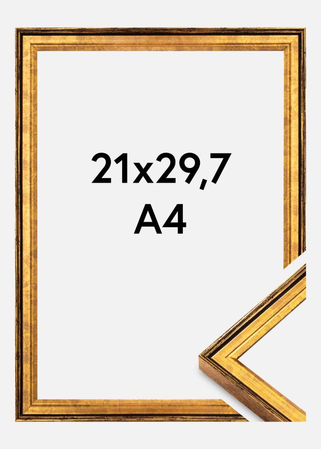 Ramme Ringa Akrylglas Guld 21x29,7 cm (A4)