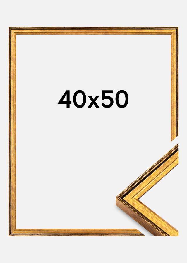 Ramme Ringa Akrylglas Guld 40x50 cm