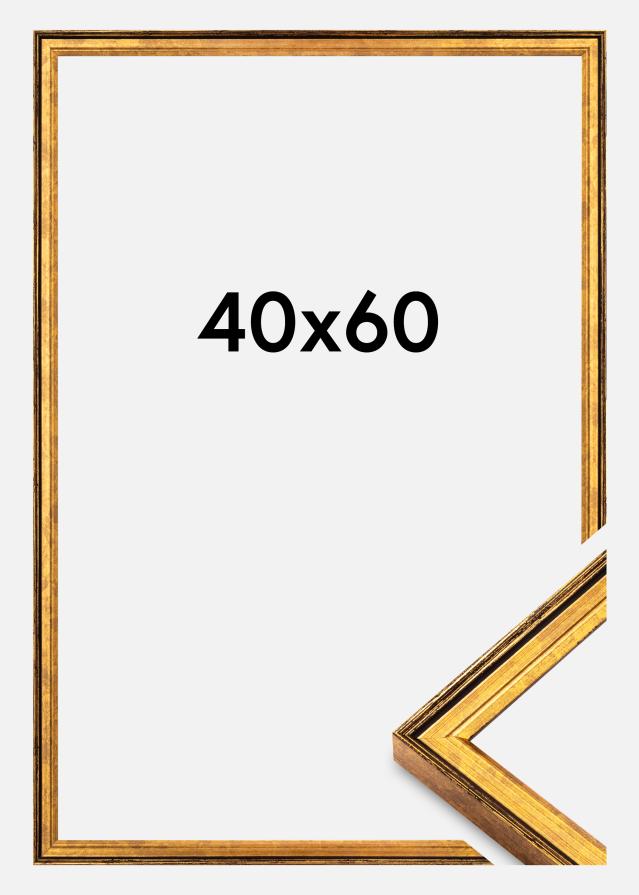 Ramme Ringa Akrylglas Guld 40x60 cm