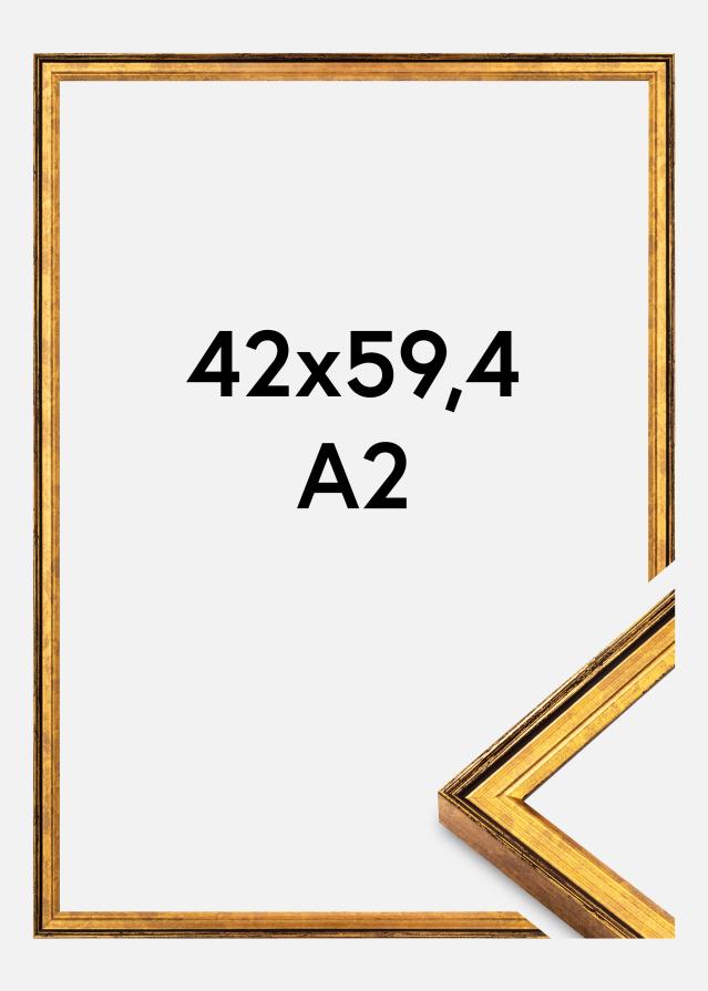 Ramme Ringa Akrylglas Guld 42x59,4 cm (A2)