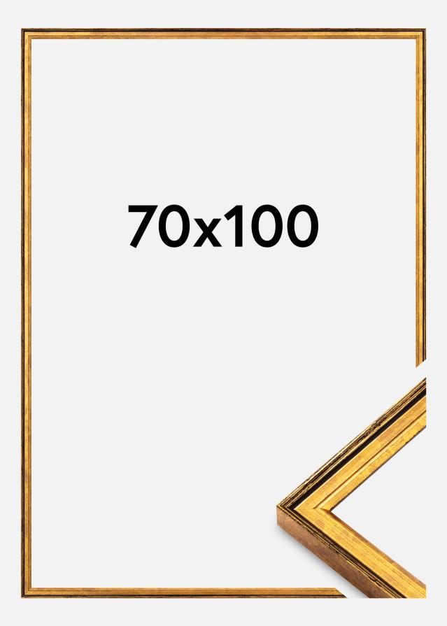 Ramme Ringa Akrylglas Guld 70x100 cm
