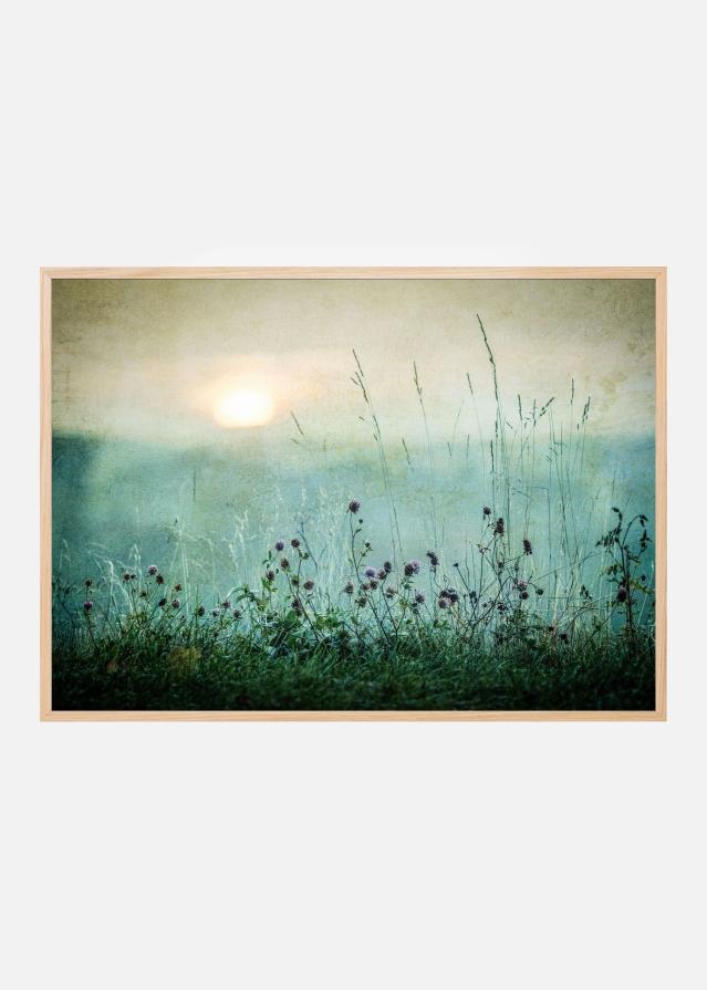 Autumn sunrise Plakat