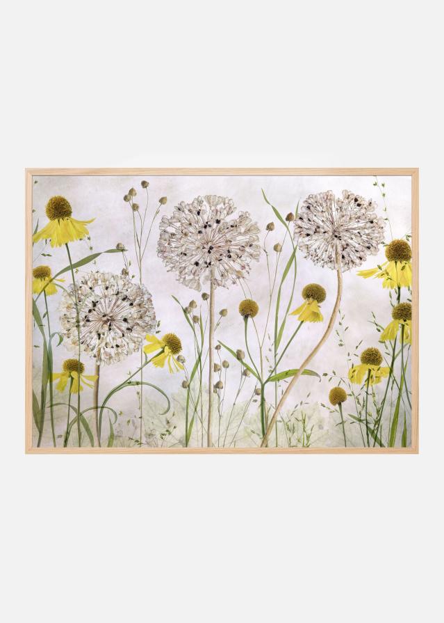 Alliums and heleniums Plakat