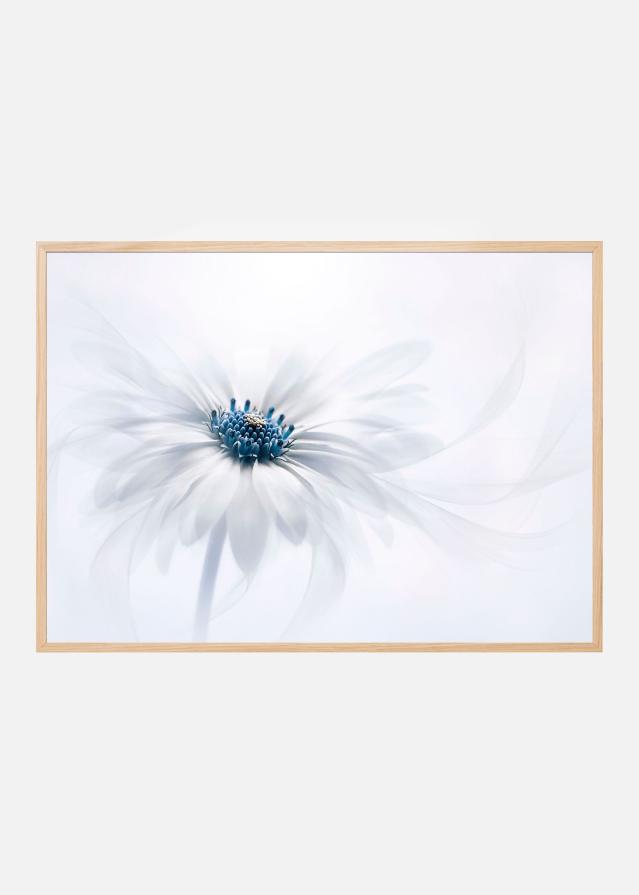 Serenity Plakat