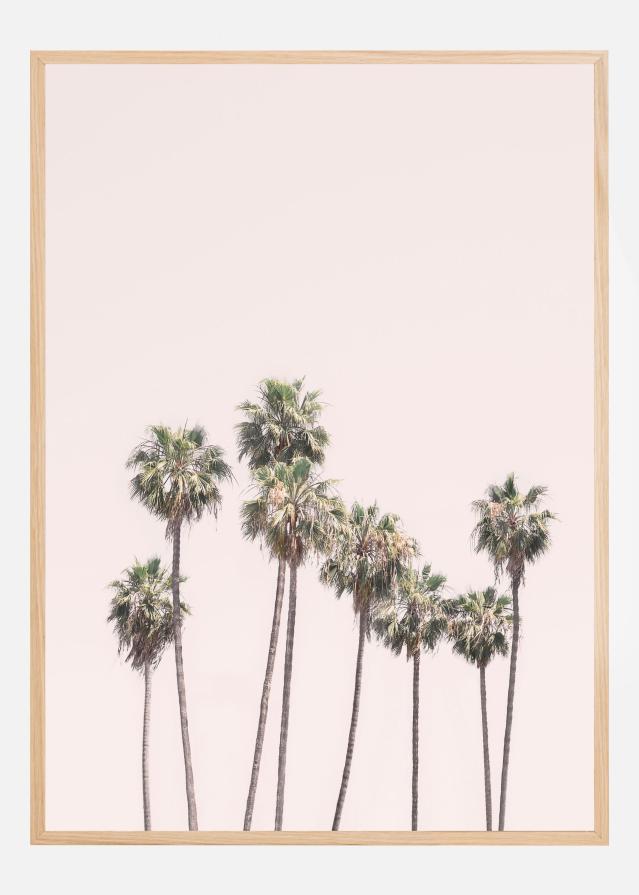 Blush Palms Plakat