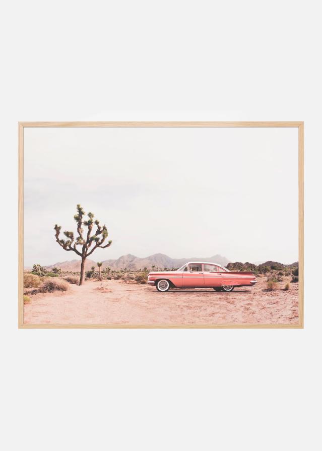 In the desert Plakat