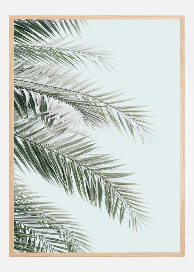 Blue Palms Plakat
