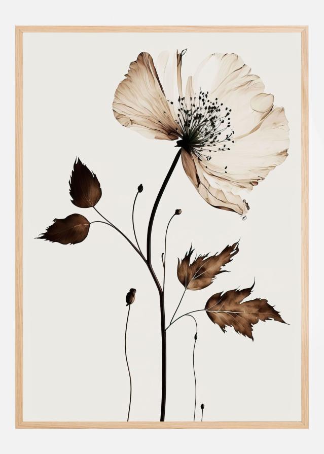 The Coffee Flower Plakat