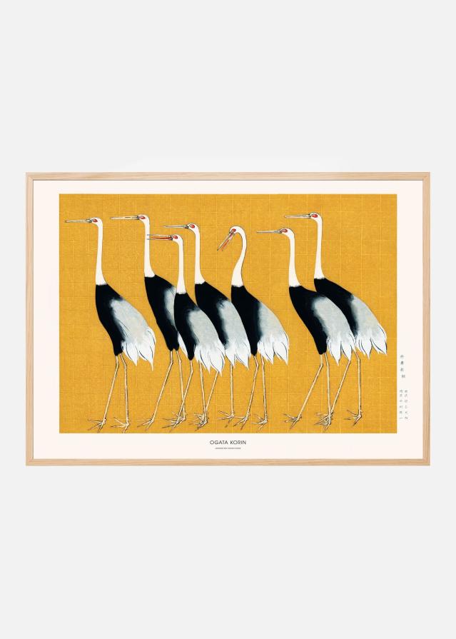 Japanese Red Crown Crane Plakat