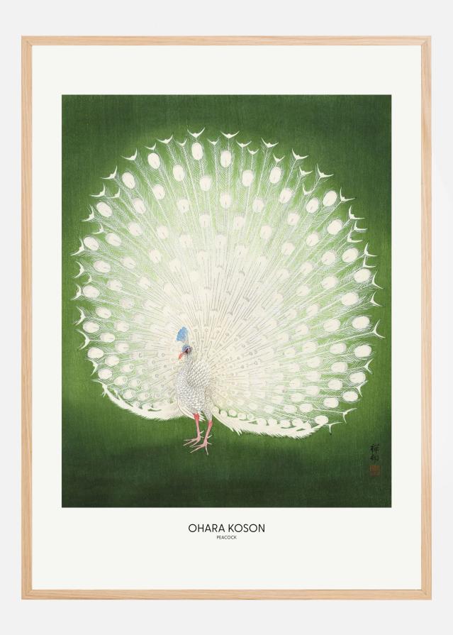 Peacock - Wide Plakat