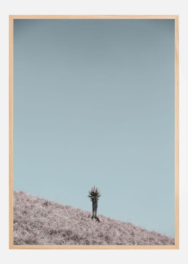 Solider Plakat
