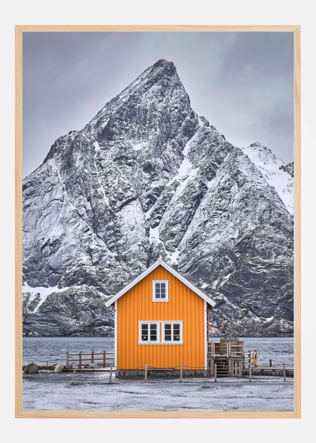Dsf1216 1 Plakat