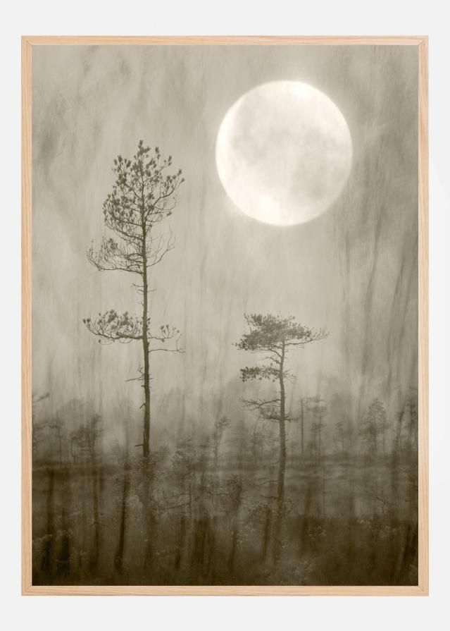 Moonlight Plakat