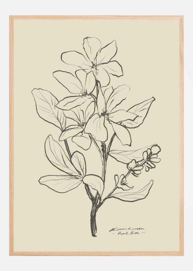 Floral 1 Plakat