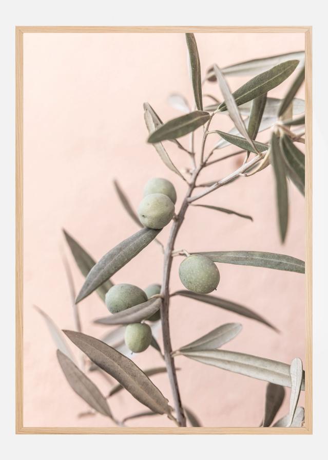 Olives Plakat