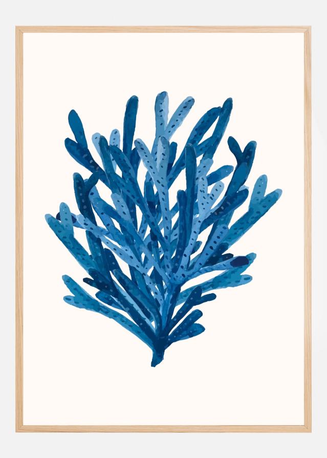 Coral Plakat