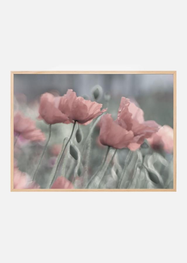 Softly Plakat