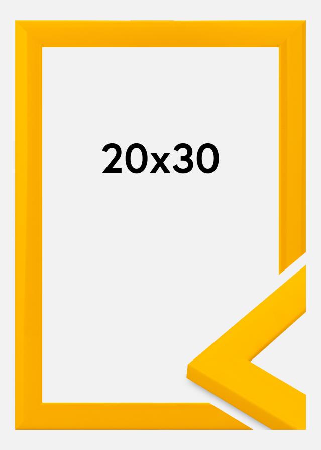 Ramme Dorset Akrylglas Guld 20x30 cm