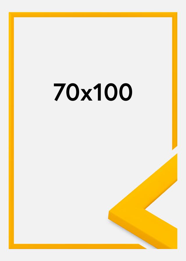 Ramme Dorset Akrylglas Guld 70x100 cm